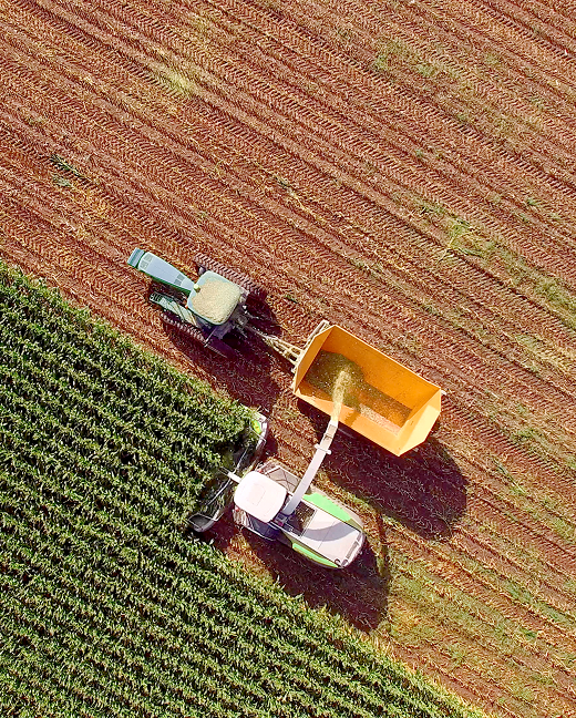 Aerial view of tractors harvesting crops in a large farm field.